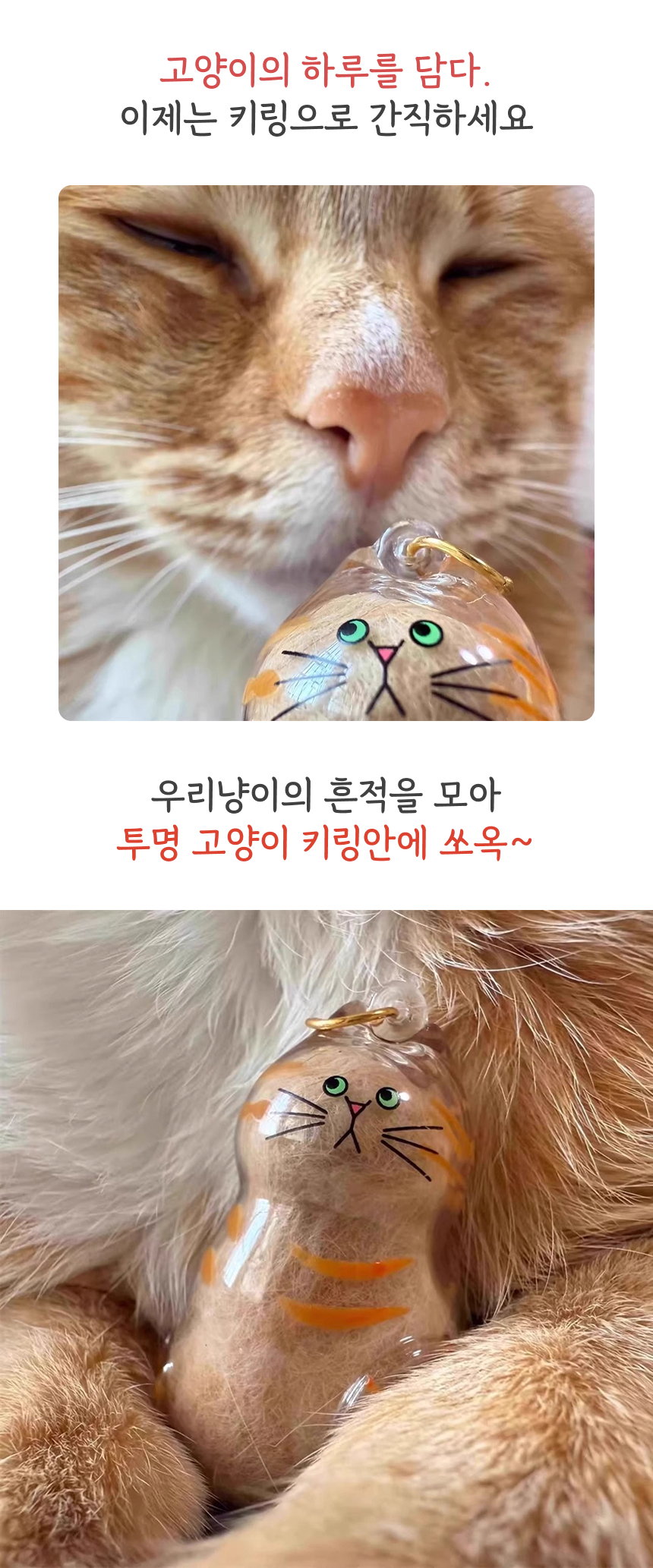 반려동물 털 유골함 캡슐 펫로스 추모 스톤 보관함 기념품 털뭉치 보관 케이스 상세 이미지 2